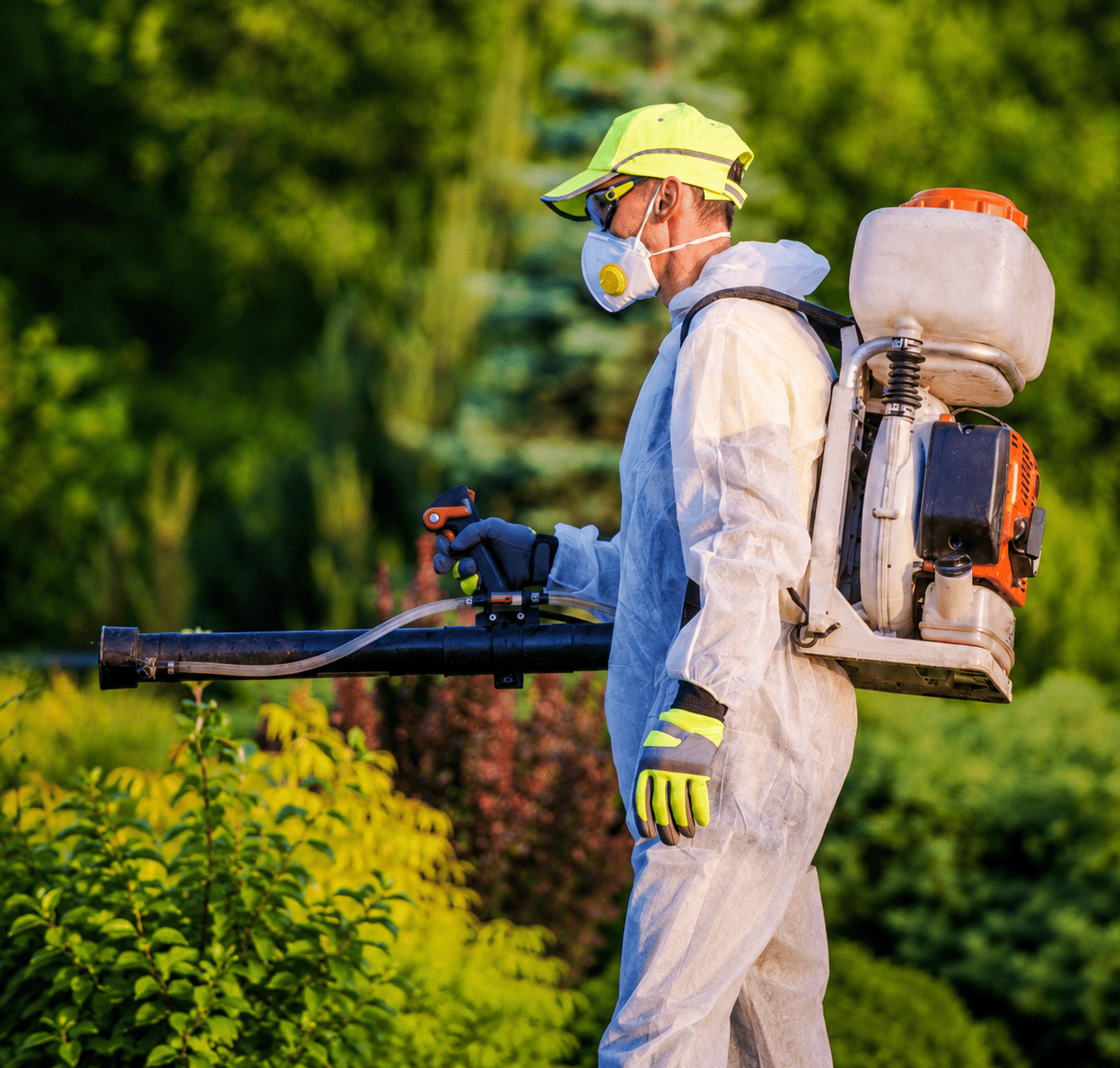 Professional pest control technician in New York City, NY